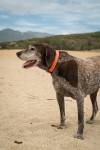Gabriel BATALLER - Lyndon Studio